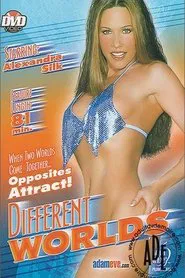 Different Worlds movie poster