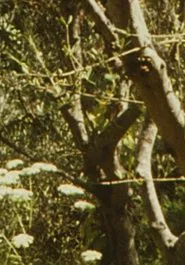 Poster do filme Envío 6