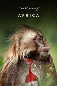 Africa tv show poster