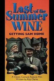 Getting Sam Home movie poster