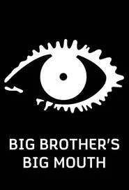 Big Brother's Big Mouth tv show poster
