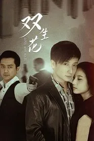 双生花 tv show poster