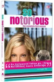 Poster da série So NoTORIous