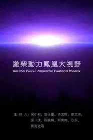 凤凰大视野 tv show poster