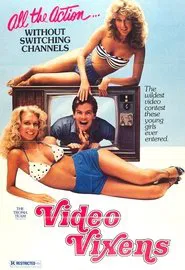 Video Vixens! movie poster