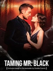 Taming Mr. Black movie poster
