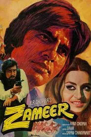 Poster do filme Zameer