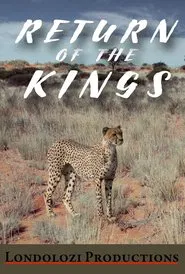 The Return of the Kings movie poster