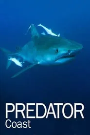 Predator Coast movie poster