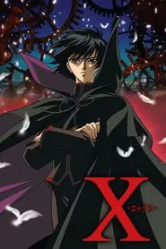 X tv show poster