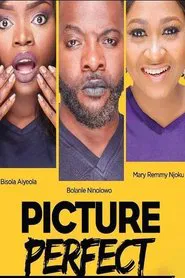 Poster do filme Picture Perfect