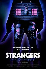 Strangers in the Night movie poster