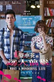 赛小花的远大前程 tv show poster