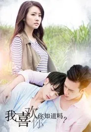 I Like You, You Know? tv show poster