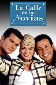 Bride's Avenue tv show poster