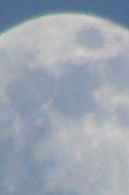 Moonwalk movie poster