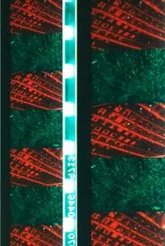 Red Green movie poster