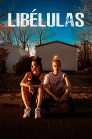 Poster do filme Dragonflies