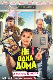 Poster do filme Not Home Alone