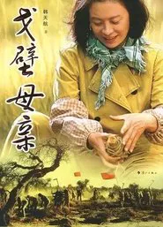 戈壁母亲 tv show poster