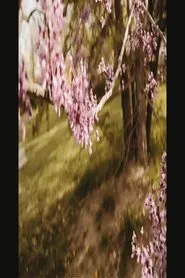 Poster do filme 3/1 and 3/3 (Bountiful Gems)