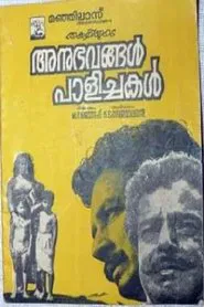 Anubhavangal Palichakal movie poster
