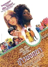 Rice outside the Paddy Fields movie poster