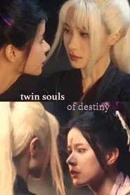 Twin Souls of Destiny movie poster