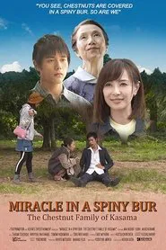 Miracle in Kasama movie poster