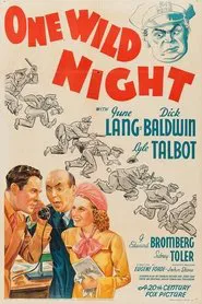 Poster do filme One Wild Night