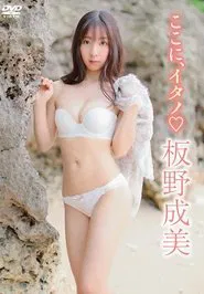 板野成美 / ここにイタノ movie poster