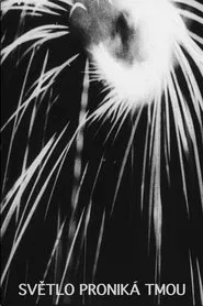 Poster do filme The Light Penetrates the Dark