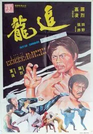Fist of Dragon movie poster