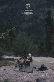 Poster do filme Gold Rush