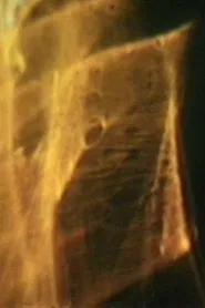 Let There Be Light movie poster