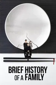 Brief History of a Family movie poster