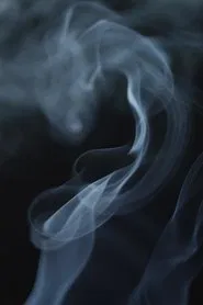 The Cannabis Question movie poster