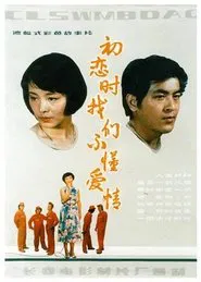 We Didn't Know Love During First Love movie poster
