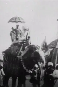 Procession of Elephants with Howdahs - India movie poster