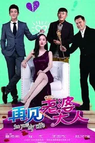 See You My Wife tv show poster