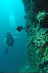 Wonders of the Great Barrier Reef with Iolo Williams movie poster