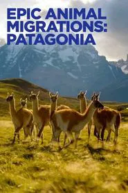 Epic Animal Migrations: Patagonia movie poster