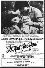 I'll Wait For You (If It Takes Forever) movie poster