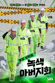 Green Fathers tv show poster