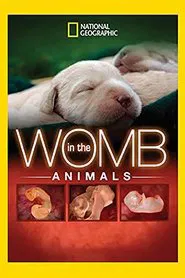 In The Womb: Animals movie poster
