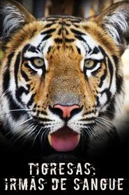Tigress Blood movie poster