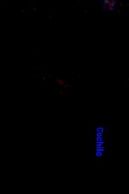 Cochilo movie poster