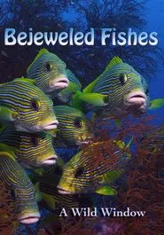 Poster do filme Wild Window: Bejeweled Fishes