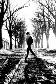 Im Übergang – Protokoll einer Hoffnung movie poster