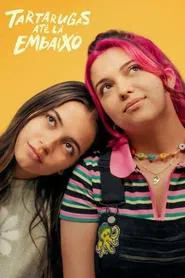 Poster do filme Tartarugas Até Lá Embaixo
